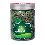 رزماری ممتاز